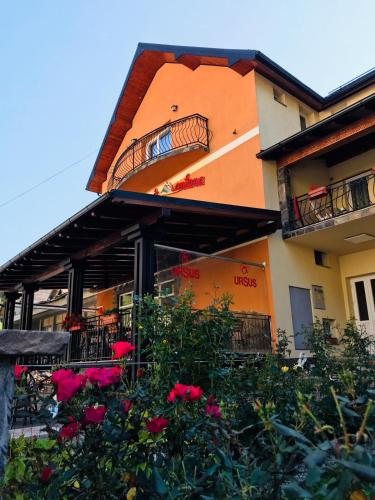 Accommodation in Oraş Borşa