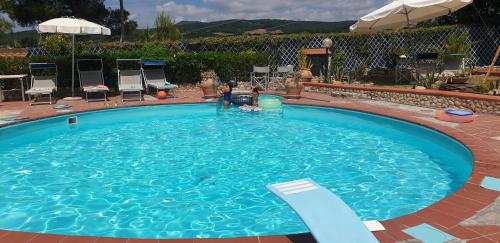 Tuscan Villa, private pool and tennis court Garden,wi-fi, Ac, Pet friendly - Accommodation - Rosignano Marittimo