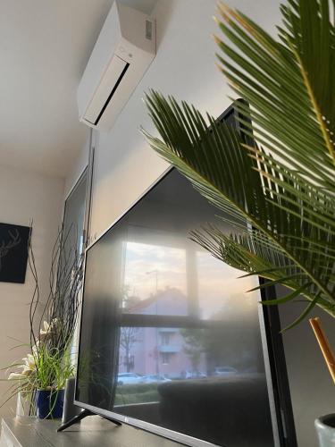 Brand New Apartment, Top Location-Near VIC/Danube, Vídeň (fotografie 10)