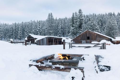 Suncadia Resort a Destination by Hyatt Residence - image 2