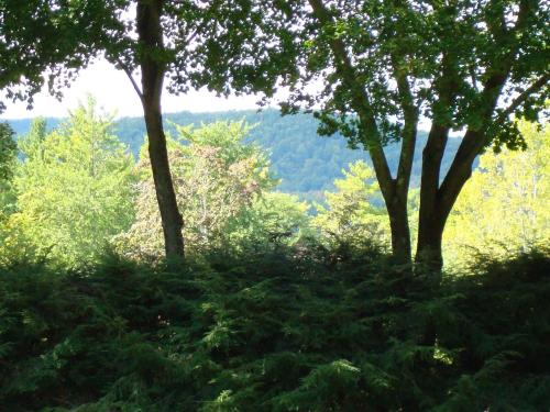 ทัศนียภาพ, The Cottage in สตอกบริดจ์ (MA)