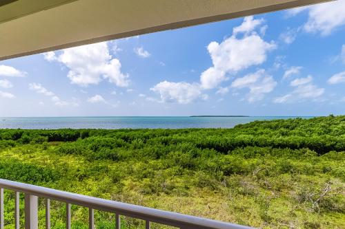 Vitamin Sea in Tavernier, USA