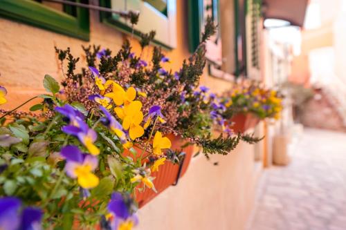  Guest house Sotto I Volti Centro Storico in Rovinj