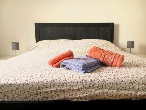 Santa teresa 15\2 - Apartment - Turin