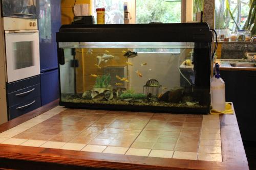 Habitación en villa neo victoriana con piscina (Habitacion en villa neo victoriana con piscina) in 마르 델 플라타 시티 센터