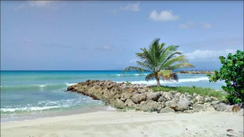 jusqu'a 4 personnes ,150m de la plage ,en ville
