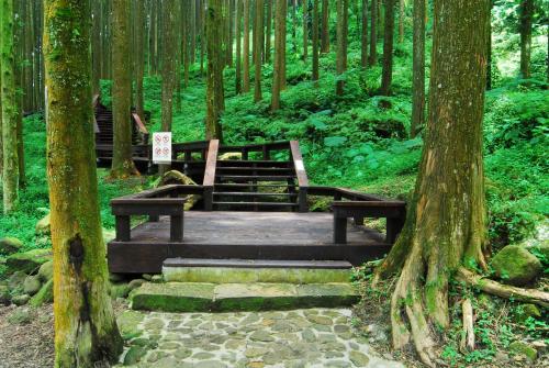 阿里山神木賓舘 (Alishan Shermuh Hotel) in 嘉義縣