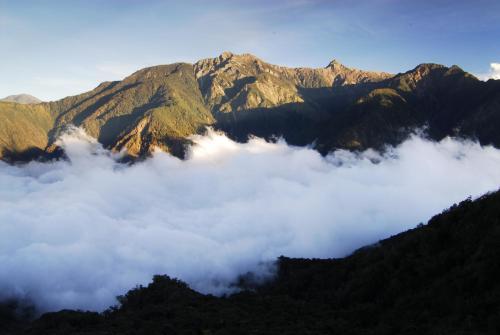 阿里山神木賓舘 (Alishan Shermuh Hotel) near 阿里山國家風景區