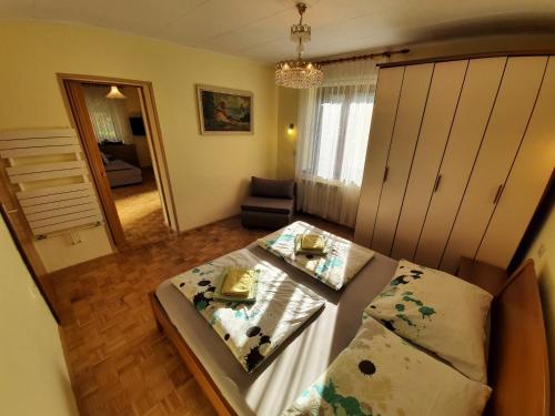 Chalet and Apartment Žonir with SAUNA