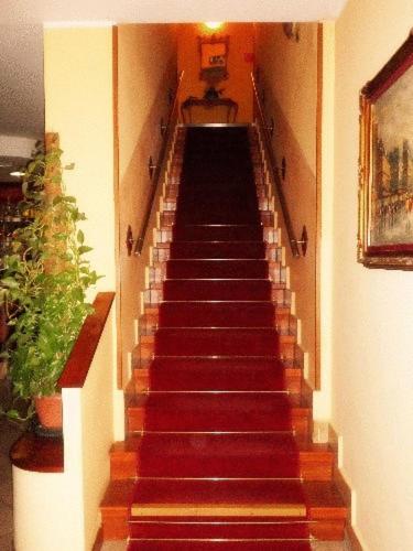 Dotări, York in Cinisello Balsamo