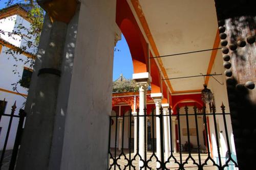 San esteban bajo - image 2