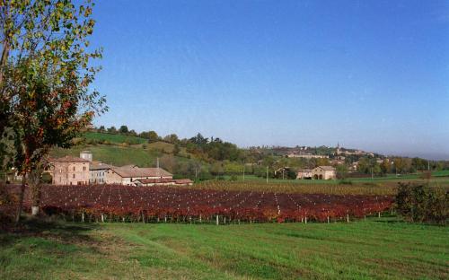  Agriturismo San Polo, Castelvetro di Modena bei Castello di Serravalle