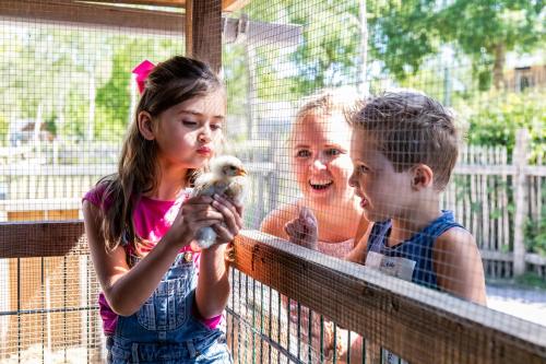 Europarcs Zuiderzee Europarcs Zuiderzee