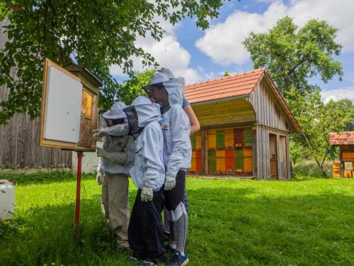 Beekeeping Kojek