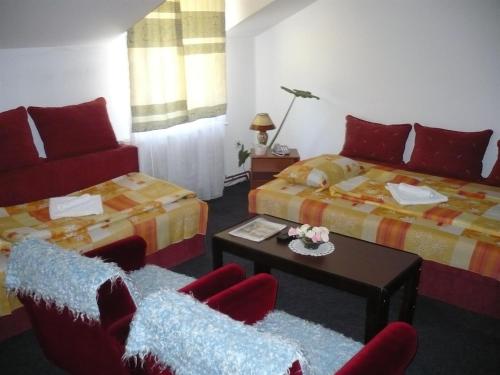 Motel Stara Vrba in Kursumlija