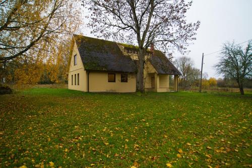 Farm, Padure (фото 5)