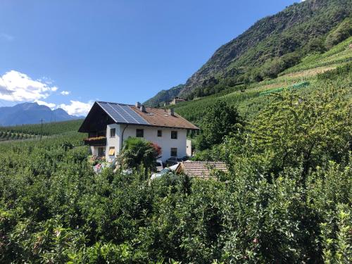  Pixnerhof - Urlaub am Biohof in 39020 Kastelbell