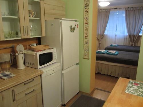 Kitchen, Tanuma Apartment in Haabersti