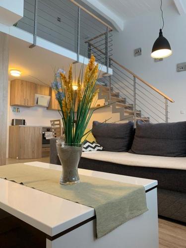 Apartament Stone Podczele Kołobrzeg – khách sạn tại Podczele