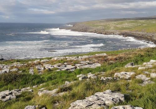 Liams Cottage between Doolin and Lisdoonvarna in ลิสดูนวาร์นา