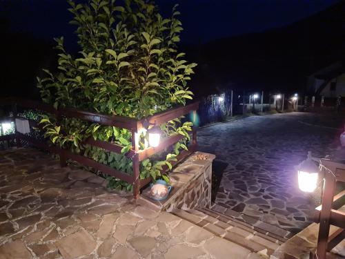 La Bunica - image 7