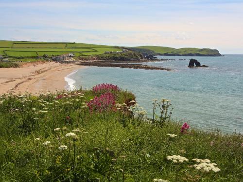 8 Thurlestone Beach - image 14