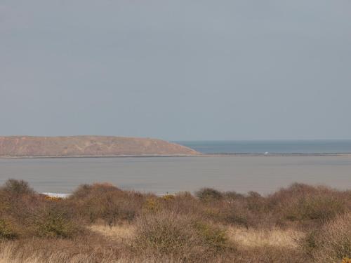 Causeway Cottage - image 10