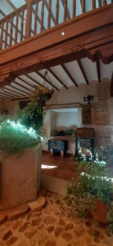 Posada Los Caballeros - image 6