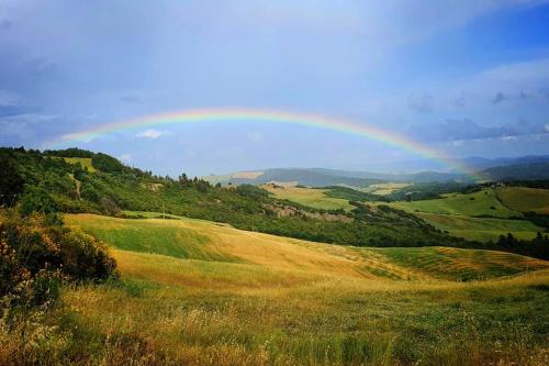 Appartamento Il Nido