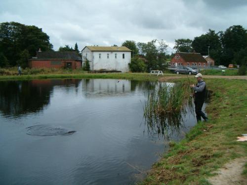 Holme Å Camping & Cottages - image 4