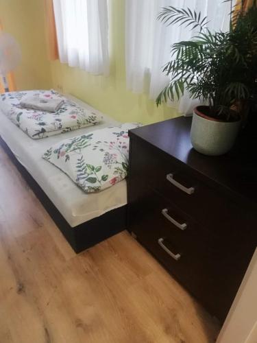  Beloved Apartment in Pécs