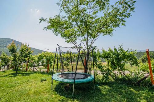 Skats, Panorama Vegapansion in Verocemarosa