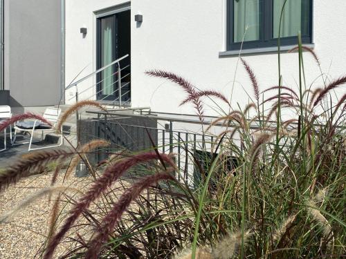 Kert, modernes Apartment, Terrasse und Garten am Lilienthalpark im Südwesten Berlins (modernes Apartment, Terrasse und Garten am Lilienthalpark im Sudwesten Berlins) in Steglitz - Zehlendorf
