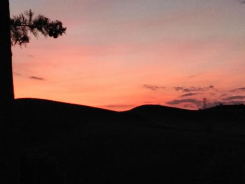  Villa Niccoli in Castelfiorentino