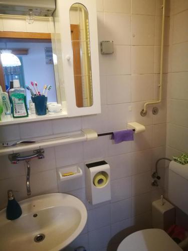 Apartma Ajdovka Rogla