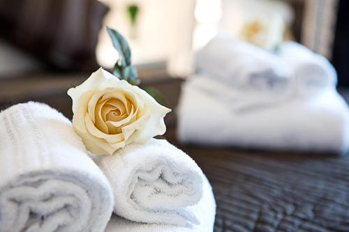 B&B Rome Key Home - image 8