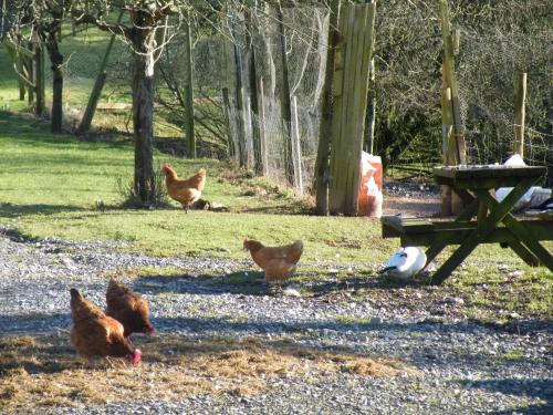 Burton Farmhouse B&B - image 9