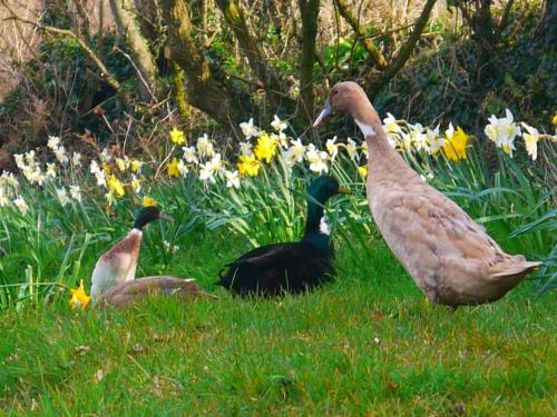 Burton Farmhouse B&B - image 2