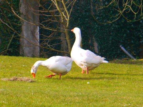 Burton Farmhouse B&B - image 12