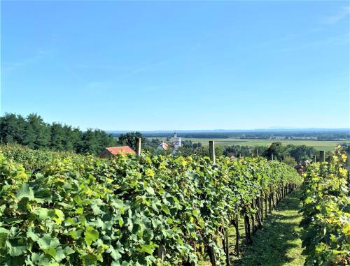 Genius Guest Unique Banovci Apartment Genius Guest Unique Banovci Apartment