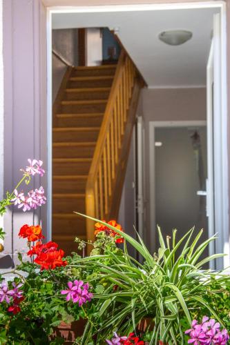 MA ROSE DES LUMIERES maison indépendante 6 personnes avec grande cour