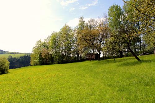Ve Stodole - image 5