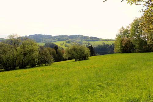 Ve Stodole - image 3