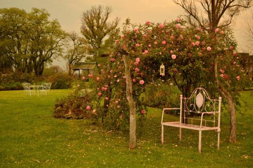 Estancia El Cangue