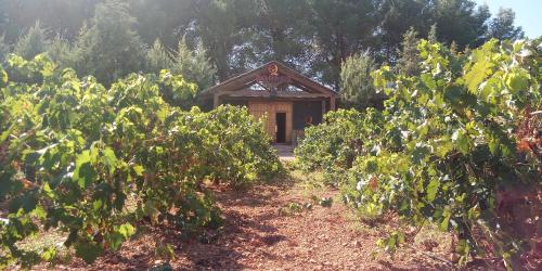  bodega y casa casaquemada in Argamasilla de Alba