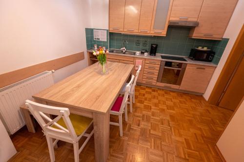 บริการและสิ่งอำนวยความสะดวก, Apartment Stella in โดเลนจ์สเกโทพลิซ