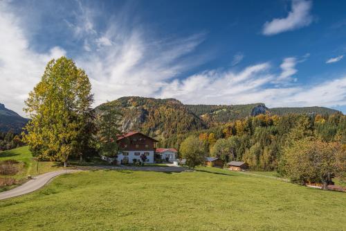 Oberstdorfer Bergwelt 235 - image 13