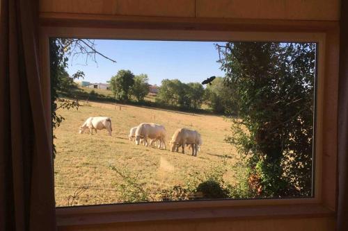 Chalet panoramique et moderne tout confort in Saizy