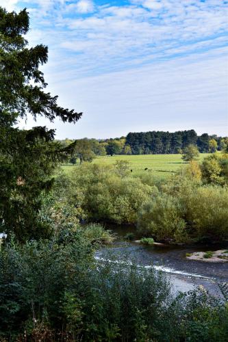 Dovecliff Hall Hotel - image 2