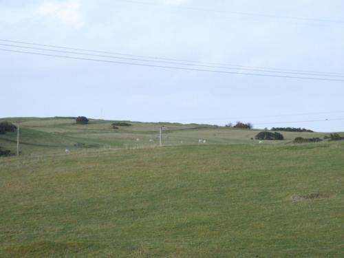 The Curragh Country House Accommodation